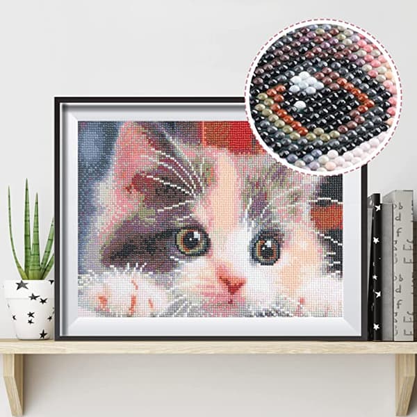 DIY 5D Diamantmålning efter nummer-kit, Diamantbroderikit Ful