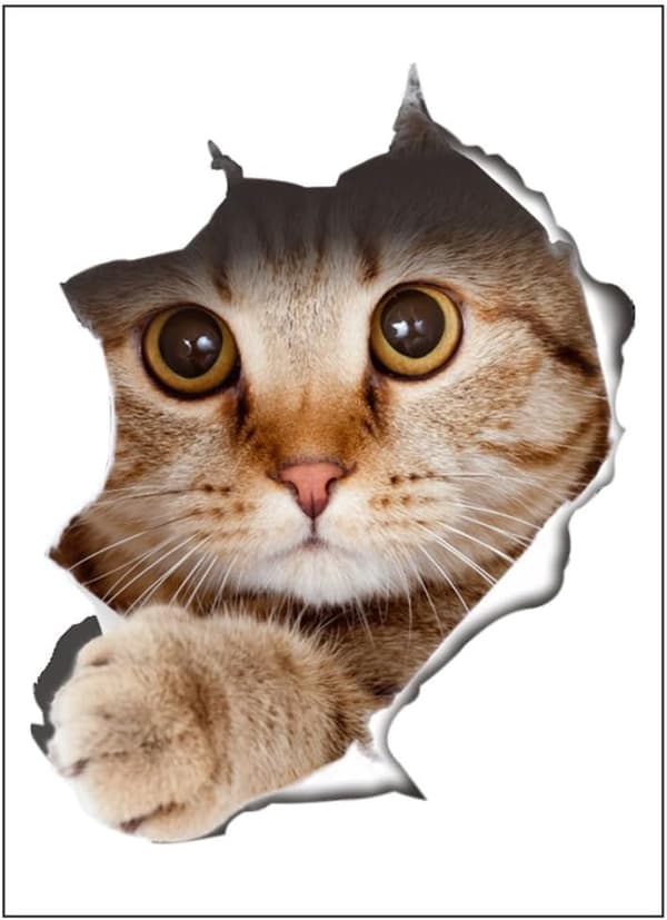 Söta tecknade kattdekorativa 3D-väggdekaler