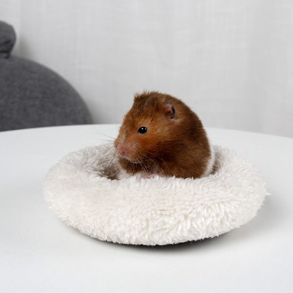 Hamster seng, rund fløjls varm soveunderlag til hamster/pindsvin