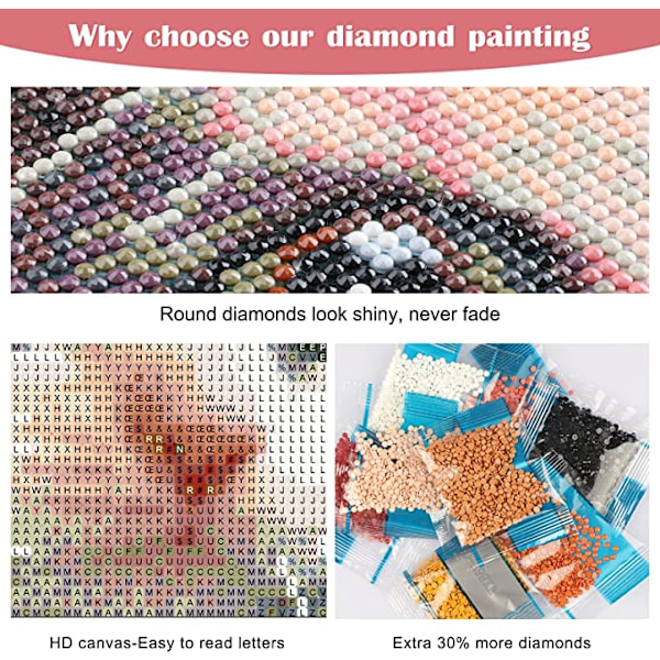 DIY 5D Diamantmålning efter nummer-kit, Diamantbroderikit Ful