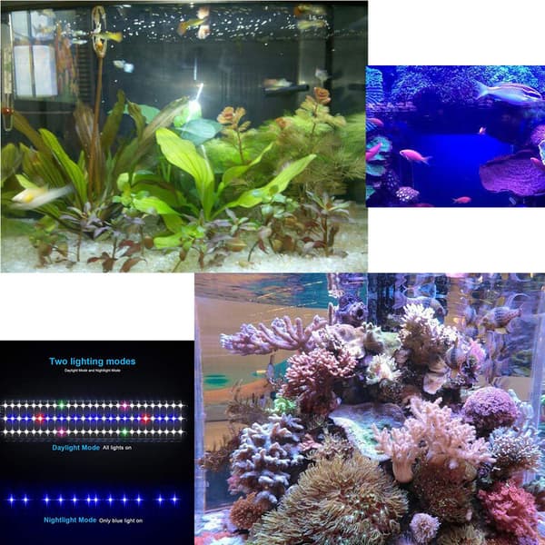 Akvarium LED-lampa 30 cm