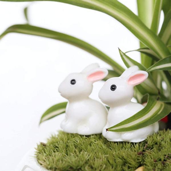 10 kappaleen miniatyyripuutarhan kani koristeet
