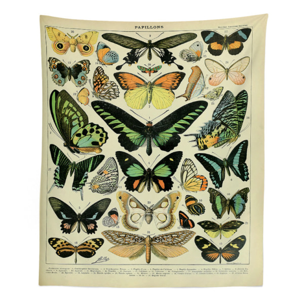 Vintage Butterfly Tapestry värikäs eri perhoset Vint