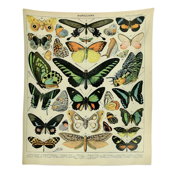 Vintage Butterfly Tapestry Värikäs Erilaisia Perhosia Vint