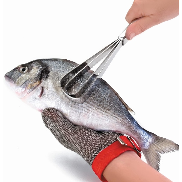 [Fisk ikke inkluderet] Manuel fiskeskælsskraber i rustfrit stål, Fi