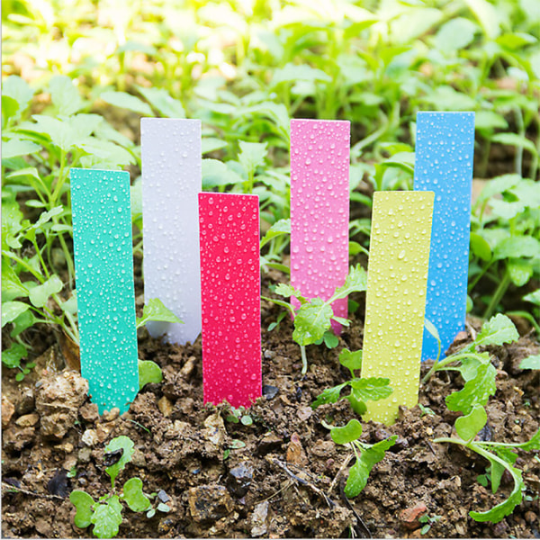 100 stycken etiketter - ros för trädgårdsväxter i plast