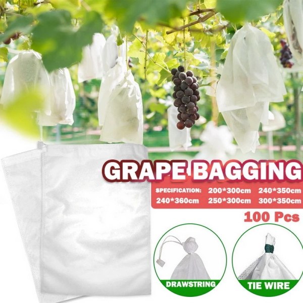 100 Fruktbeskyttelsesposer Nettposer Beskyttelse av drueklaser Ag