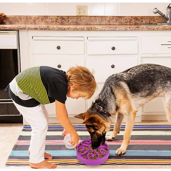 M Lilla Anti-Glutton Hund Langsom Foder Skål med Skridsikker Bund P