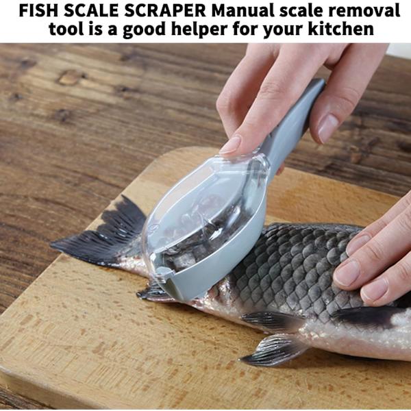 (Fisk ingår ej) Fiskhudsborste, skalare med transparent lock
