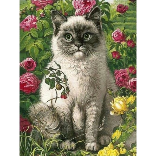 30x40cm, Siamese cat 5d diamond painted rhinestone embroidery can