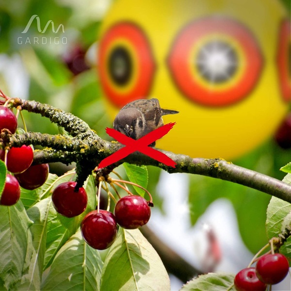 3 Anti-Pigeon Scarecrow ilmapalloa, (Ø) 400 mm, keltainen/punainen, Linnut,