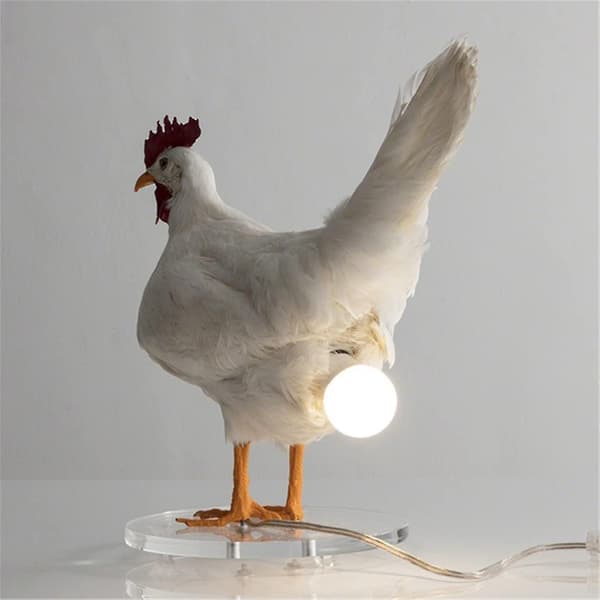 Hønse LED-lampe Egg Night Light Taksidermi Egg Desk Lamp