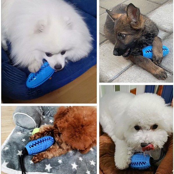 Hundeseleleke, Hundetyggeleke Yrke Intelligens Utdanning Hund Gni