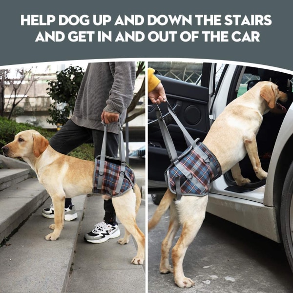 Hundeliftstøttesele Pet Back Ben Lifting Justerbar Hund Re