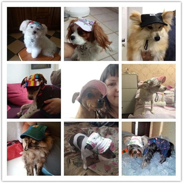 1 stk. (S, Mesh Powder) Justerbar Hunde Solhat - Baseball Cap w