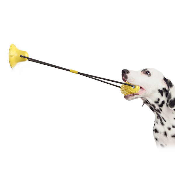 Hundleksaker Majs Slipning Stick Hund Tandborste Sugkopp Hund Leksak