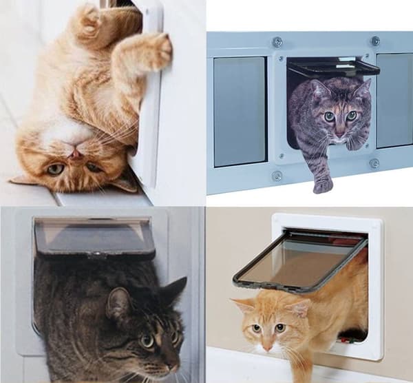 4-posisjons katteluke med tunnelutskjæring deksel hundekatt Fl