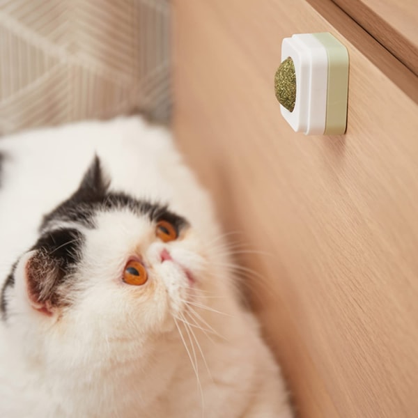 Kattmyntaboll leksak, 3 i 1 ätbar kattmyntabollar leksak, 360° roterande W