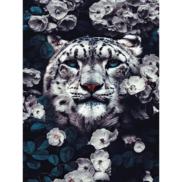30x40cm 5D DIY Diamantmålning Full,T#Série Animaux,DIY Diamant