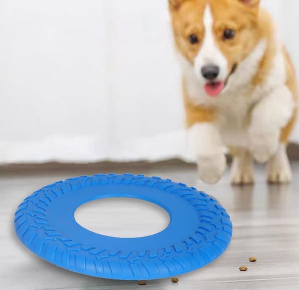 Hunde-Frisbee Hundelegetøj, Blå