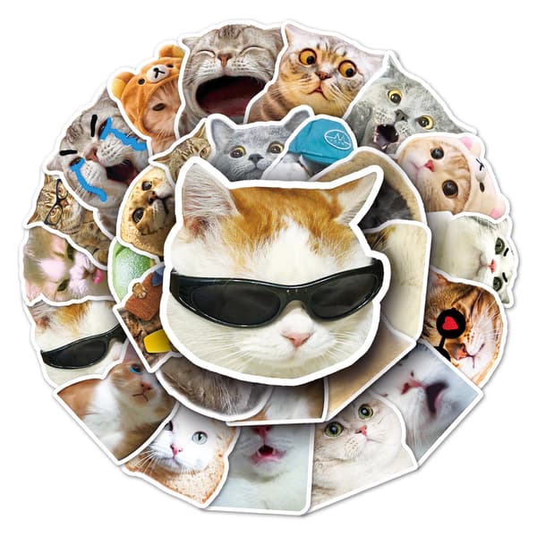 50 stk søte katte-emoticons