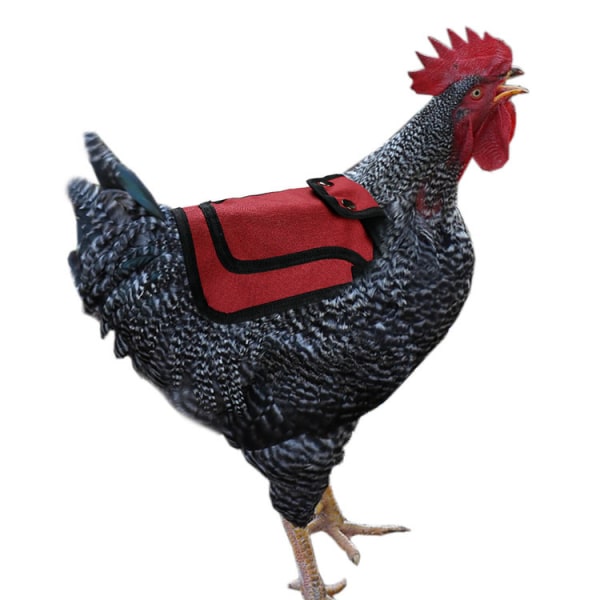 Premium kyllingsadel, justerbare stropper for små, mellomstore og L