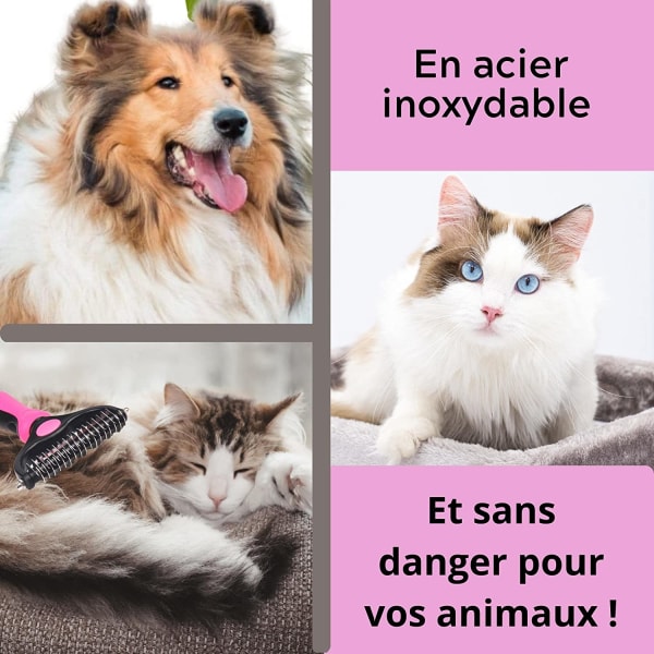 Provence pitkäkarvainen kissan tai koiran harja hoitoon. Lemmikkieläinten hiusharja