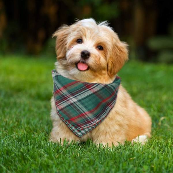 4PCS Hundbandana, Hundbandana Krage Hundbandana Krage Tvättbar Hundbandana Scarf Justerbar Hundbandana Kontrollerar för Valp Katt Husdjur Jul Fancy Dress