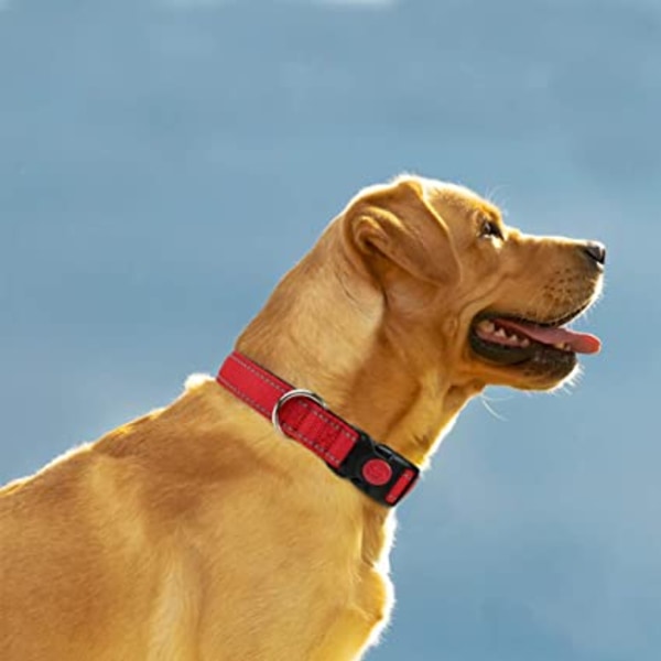 Reflekterende hundehalsbånd i nylon med sikkerhedsspænde, justerbart kæledyr C