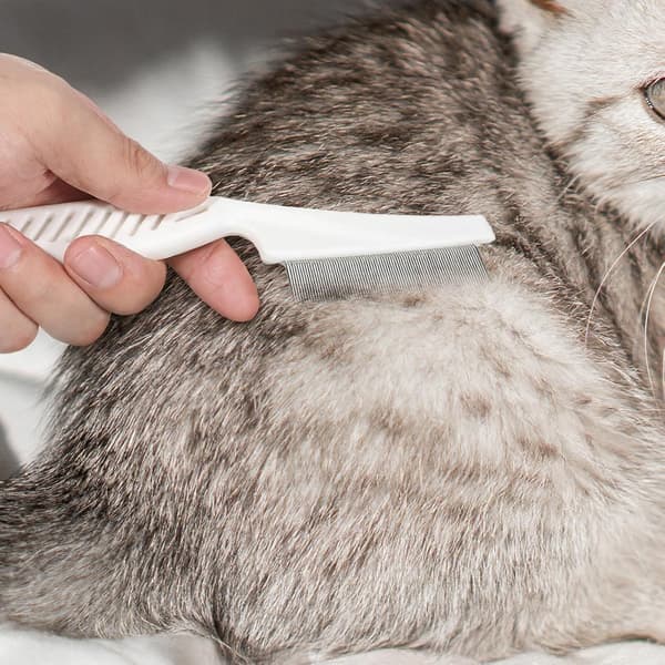 Kamme velegnede til hunde og katte, robuste børster, 2-pak.