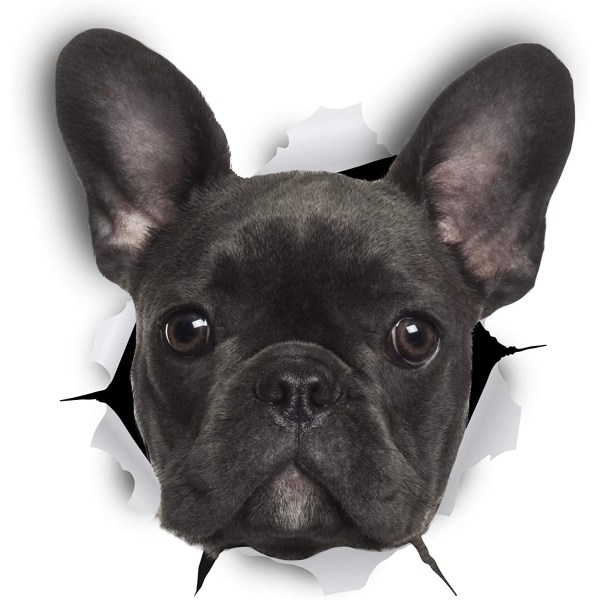3D koiran seinätarrat - 1 pakkaus - Hauskat koristetarrat - musta
