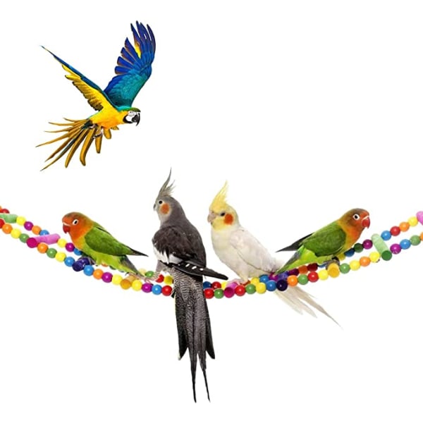 Fugleleker for papegøye, stige, huske, dressur Regnbuebro for