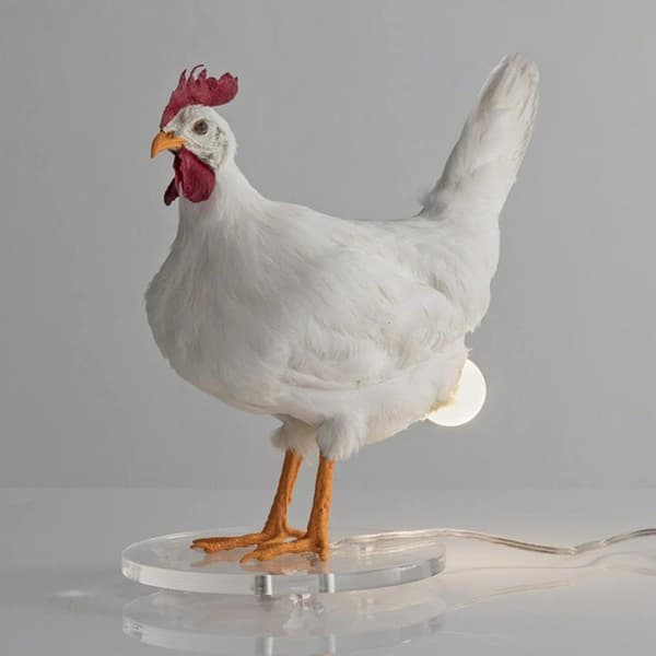 Led Kylling Lampe Egg Nattlampe Taksidermi Egg Skrivebordslampe