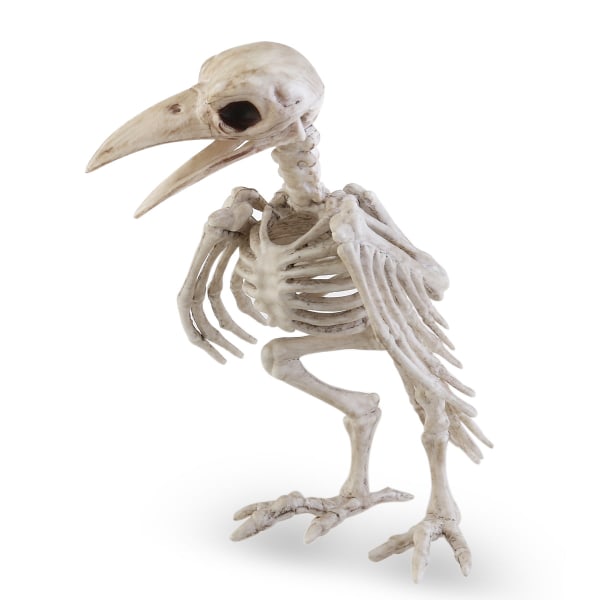 Crazy Bone Skeleton Raven 100% muovia Animal Bones Hor