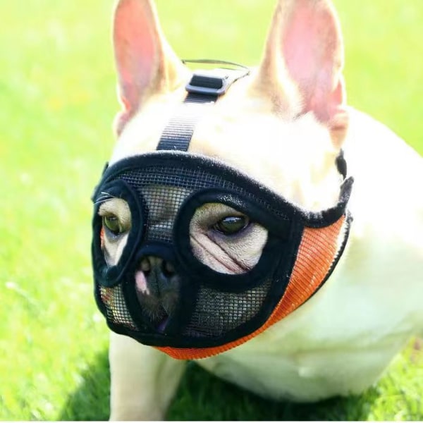 Kort mun hundmask, fransk bulldog andas mesh flat ma