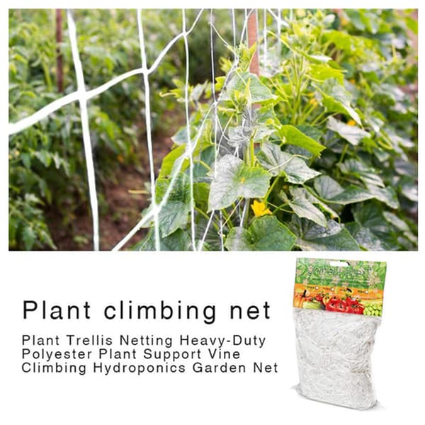 Net til klatreplanter 1,67x5m, stortmasket støttenet