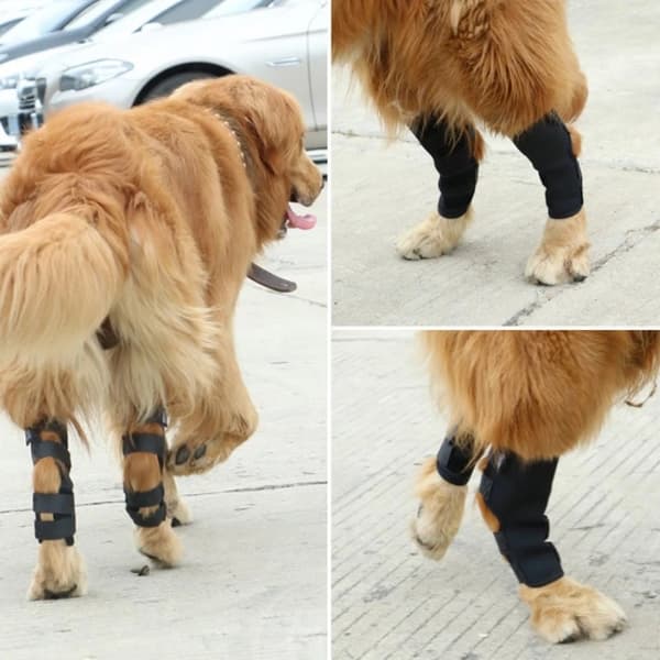 Hunde Canine Bakre Bein Hock Leddbeskyttelse 2Pack Bakre Bein Wrap Beskytt
