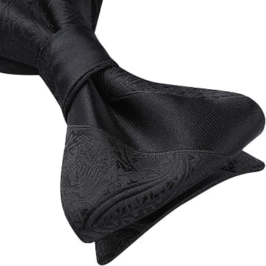 Fjärilsknut för män, slipsknut för män, slips och näsduk set klassisk Pai