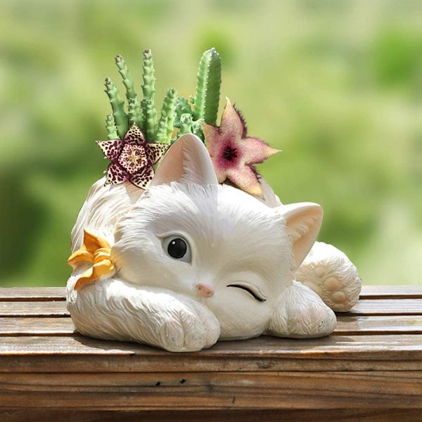 Kattkrukor, söta djurformade tecknade planter, suckulenta vas