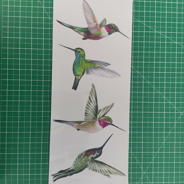 för fönster - 4 fantastiska dekorativa statiska kolibrier - P