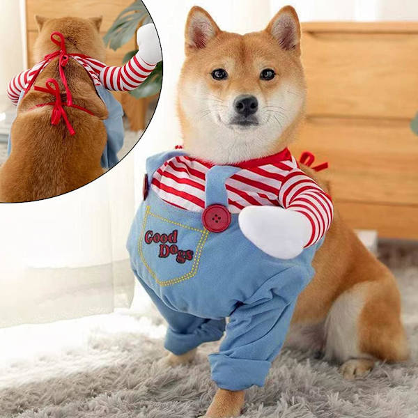 Halloween-kostyme for hunder, hundekostyme, julefest, rollespill og kostymer for hunder, morsomt hundekostyme for hunder