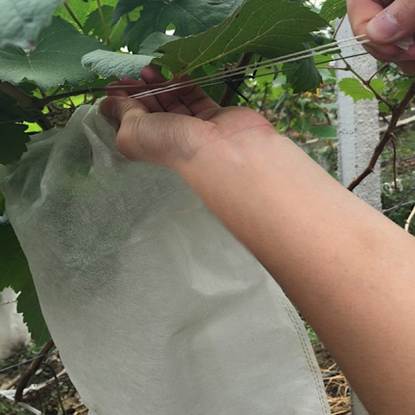 100 Hedelmäsuojaverkkoa Viinirypäleterttujen Suojaus Linnuilta ja Hyönteisiltä Ampiaisilta 30 x 20 cm