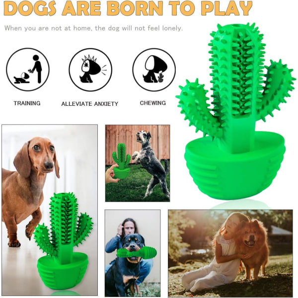 Hundelegetøj, 360° hundebørste hvalpelegetøj, tandpleje knoglehundetyggetøj (dragt