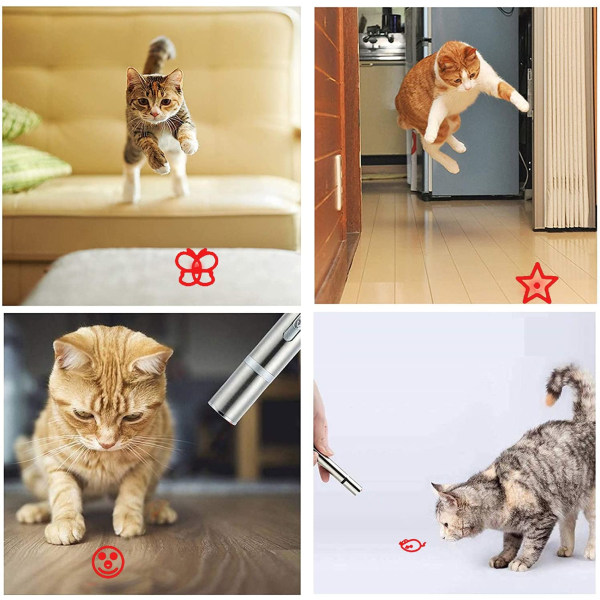 Interaktive katteleker, USB-oppladbar LED-lomme for kjæledyrene dine