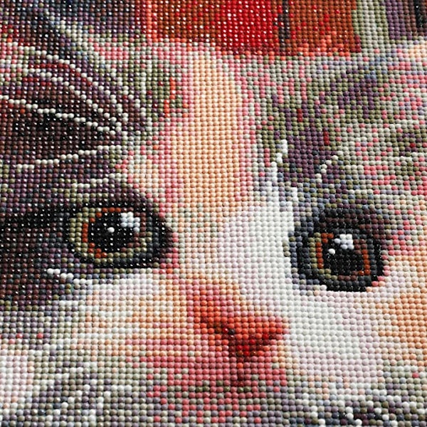 DIY 5D Diamantmålning efter nummer-kit, Diamantbroderikit Ful