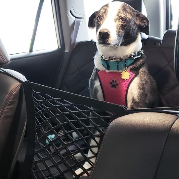 1 ställbar hundbilskydd svart 1 ställbar bilisolering bil Tr