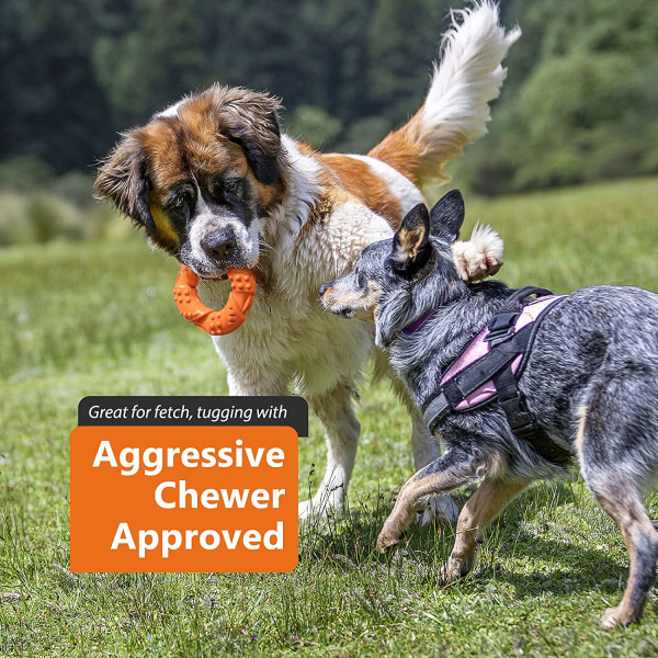13 cm Orange farve Hundelegetøj til aggressive tyggere: Almost In