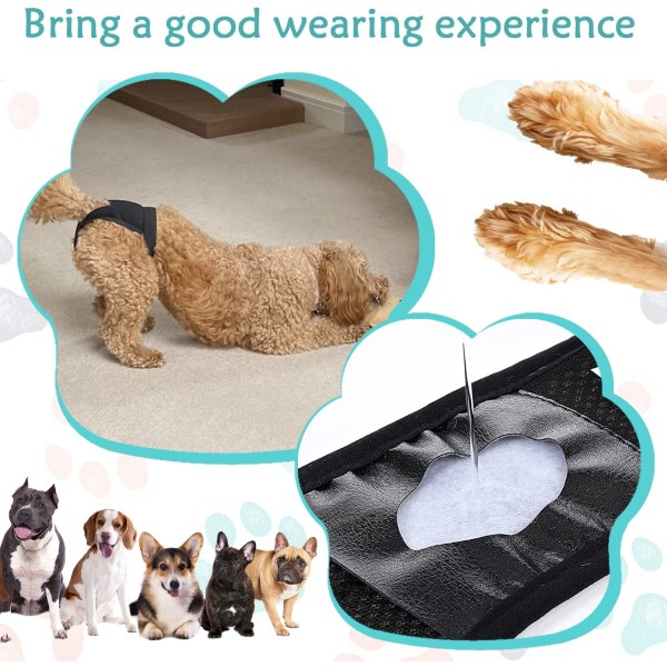 2 pakkaus koiran housut, koiran vaipat ja 6 terveyssitettä, säädettävä 8d09  | Fyndiq