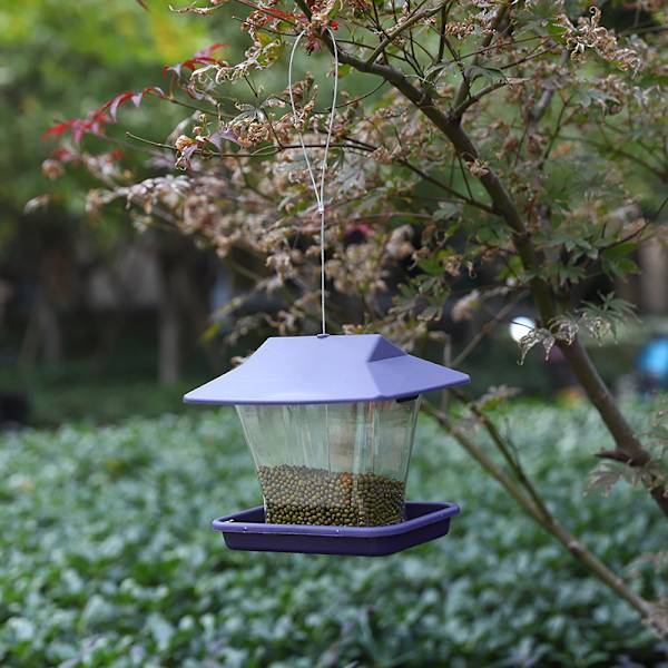 Purppura - Lintujen syöttölaite Ulkona Lintujen syöttölaite Kolibri Veden syöttölaite