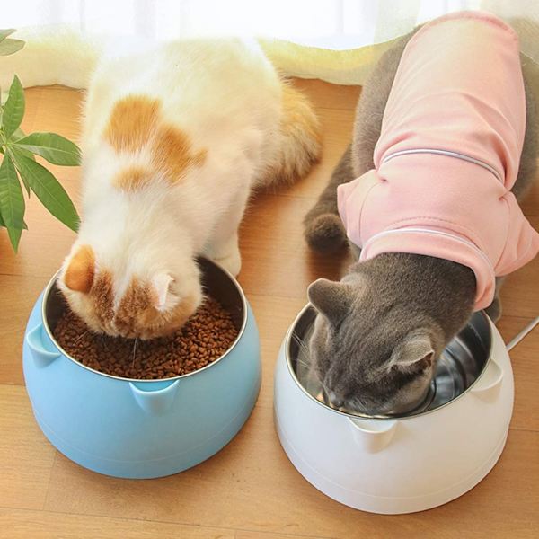 Blå katteskåle, 200 ml rustfrit stål kæledyrsskål, anti-opkastning kat